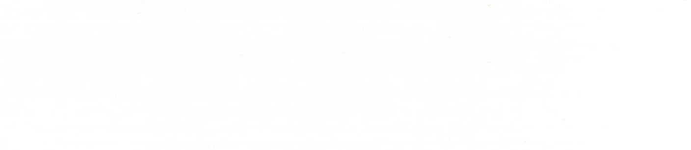 Falco Hungary 116 CORPUS WHITE