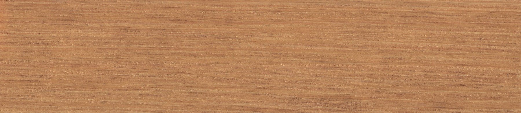 Hispanos ROBLE BURALO